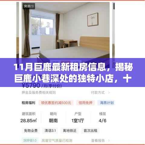 揭秘巨鹿小巷深处的独特小店,最新租房信息及十一月温馨家园新风尚