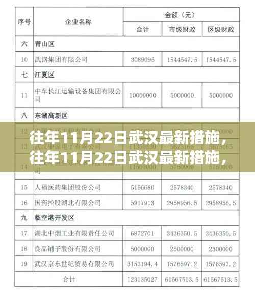 武汉城市管理新篇章,历年11月22日措施的细致变革与革新之路