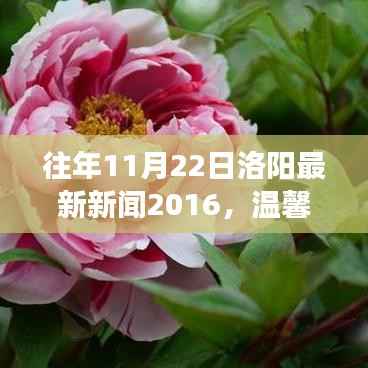 秋风落叶间,美好时光在洛阳,最新新闻与日常故事回顾 2016年篇