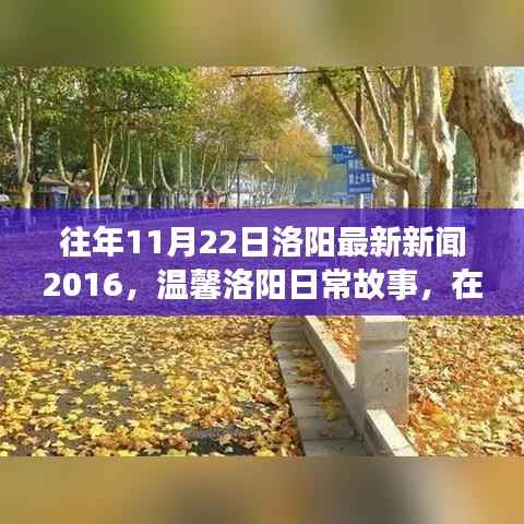 秋风落叶间,美好时光在洛阳,最新新闻与日常故事回顾 2016年篇