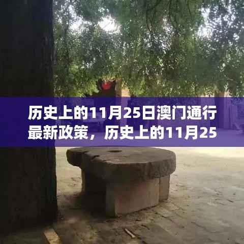 历史上的澳门政策变迁,澳门新政策通行与变化中的学习赋予我们的力量与自信