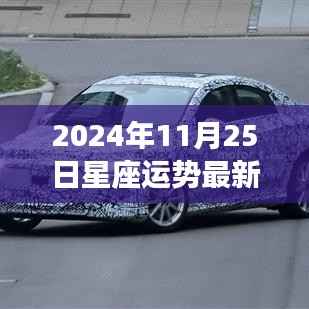 射手座2024年11月25日运势展望,星辉照耀下的自信之旅