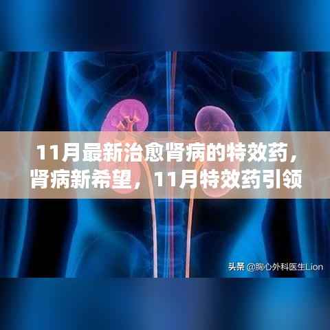 肾病新突破,11月特效药重塑肾病患者生活篇章