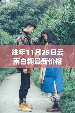 老友记与云南白糖的甜蜜邂逅,最新价格行情及糖海波澜揭秘