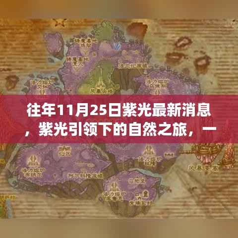 紫光引领的自然之旅,寻找内心平静的奇妙探险之旅