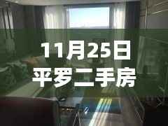 揭秘平罗二手房最新动态，科技引领智能房产交易革新！