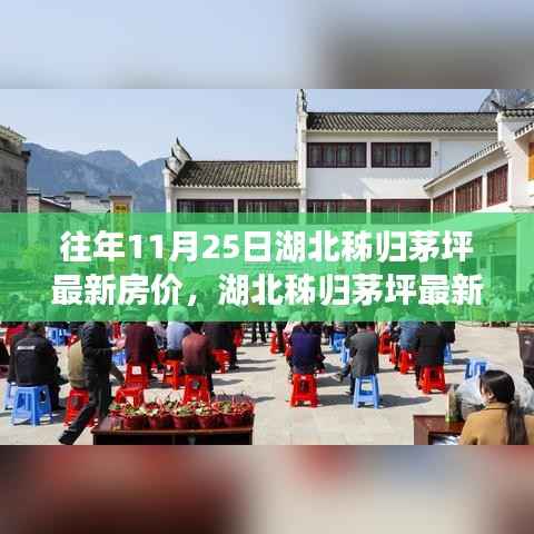 湖北秭归茅坪最新房价测评报告,深度剖析市场态势(往年11月25日)