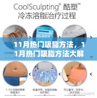 深度解析,11月热门吸脂方法及其观点阐述与探讨