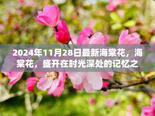 时光深处的记忆之花,海棠花的盛开与故事(最新报道)