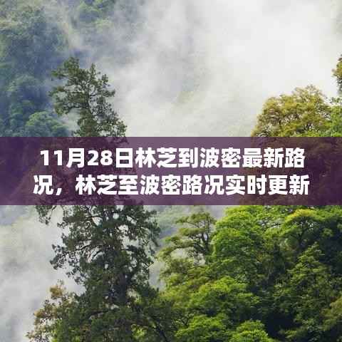 11月28日林芝至波密最新路况实时更新,一路畅行无忧