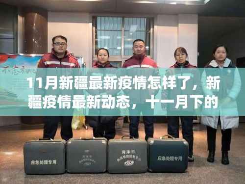 新疆疫情深度观察,最新动态与深度分析(十一月下)