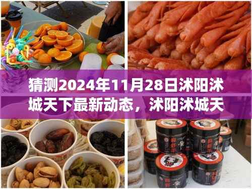 2024年11月28日沭阳沭城天下未来动态猜想与展望