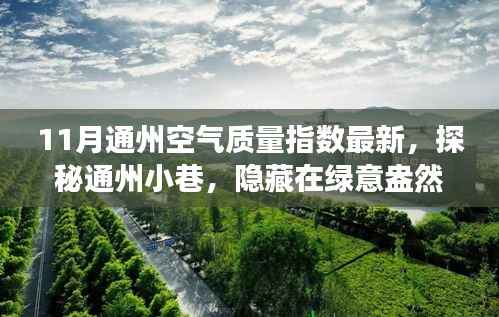 探秘绿意盎然中的通州空气质量与独特小店之旅