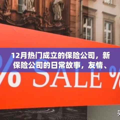 新保险公司的日常故事,友情、家庭与爱的温暖相伴,十二月热门新成立公司一览