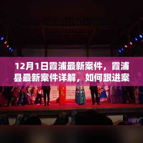 霞浦县最新案件详解及应对步骤指南,从初学者到进阶用户的全方位跟进