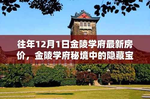 金陵学府秘境,历年12月最新房价揭秘与小巷特色小店探索之旅