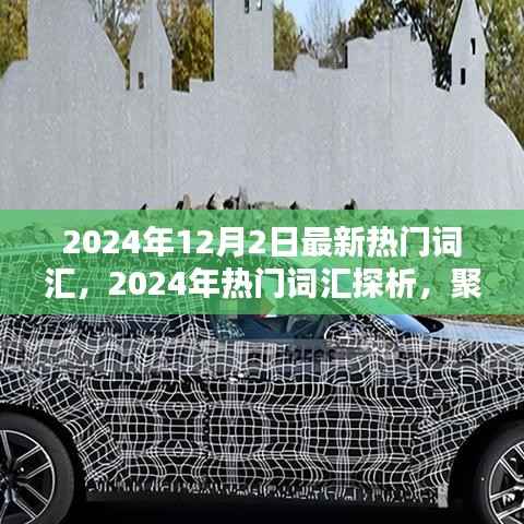 聚焦未来趋势与个人观点,2024年热门词汇探析及最新流行趋势