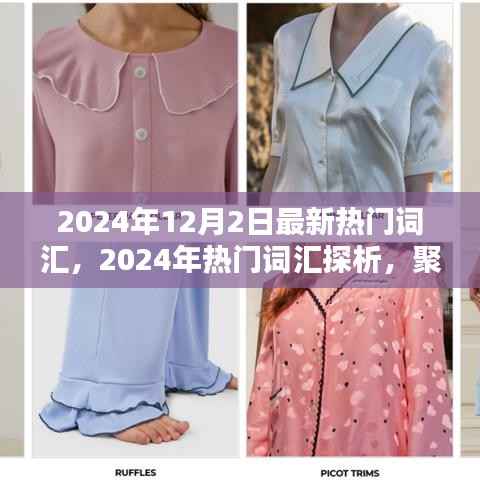 聚焦未来趋势与个人观点,2024年热门词汇探析及最新流行趋势