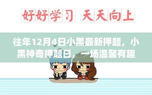 往年12月4日小黑神奇押题日,开启温馨有趣的备考之旅
