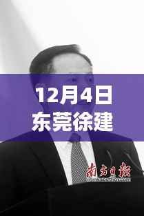 东莞徐建华最新动态解读,三大要点深度剖析最新消息