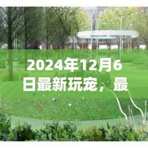 揭秘最新潮流宠物,2024年12月6日潮流宠物的崛起