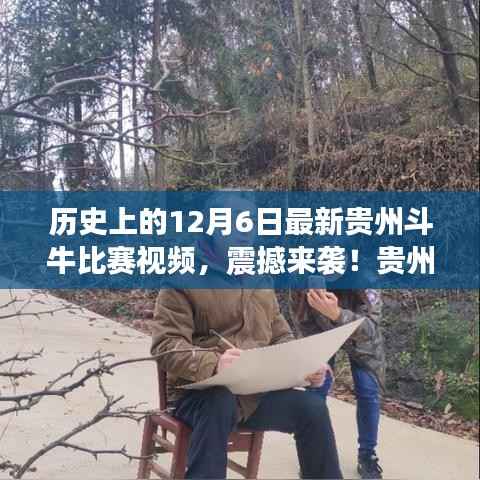 震撼再现!贵州斗牛大赛热血对决回顾,最新比赛视频揭晓!