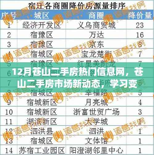 苍山二手房市场新动态,热门信息一网打尽,开启新生活篇章