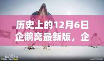 历史上的12月6日企鹅窝最新版,企鹅窝探秘,一场心灵与自然共舞的奇妙旅程