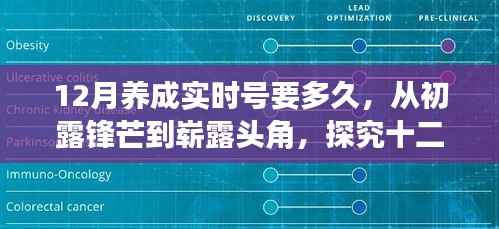 探究十二月养成实时号,从初露锋芒到崭露头角所需时间与影响力