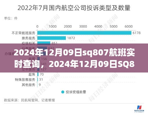 航班信息透明化与消费者权益的关联，以SQ807航班实时查询为例
