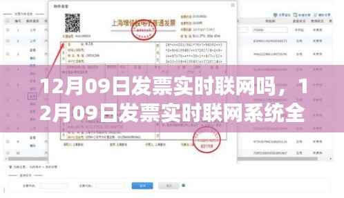 12月09日发票实时联网系统全面介绍与评测,联网实时性探讨