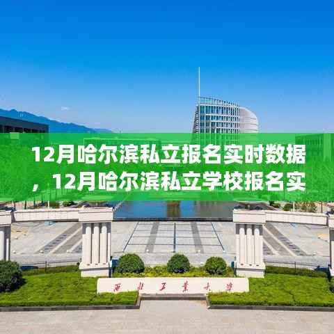 哈尔滨私立学校报名实时数据观察与深度思考