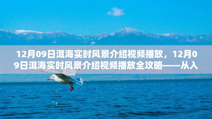 洱海实时风景介绍视频播放全攻略,从入门到精通
