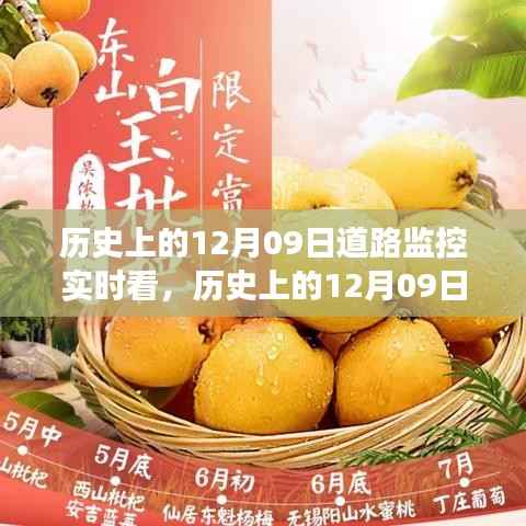 智能道路监控技术革新,见证历史时刻,开启未来交通管理新时代——实时看引领潮流发展之路