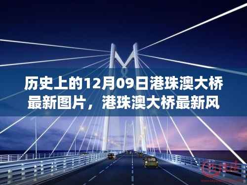 港珠澳大桥最新风采,探索自然美景之旅,追寻内心的宁静与平和的历程