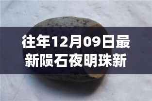 揭秘往年罕见陨石夜明珠新动态,最新消息揭秘陨石夜明珠的神秘面纱