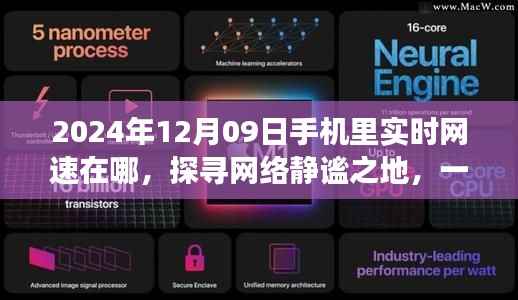 探寻网络静谧之地,心灵与自然的网速之旅(实时网速查询指南)