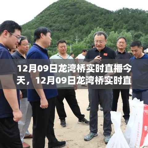 12月09日龙湾桥建设奇迹实时直播展现眼前