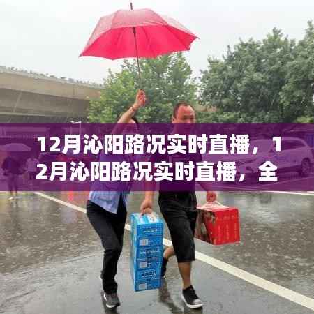 沁阳路况实时直播,全面解析交通状况,洞悉路况变迁