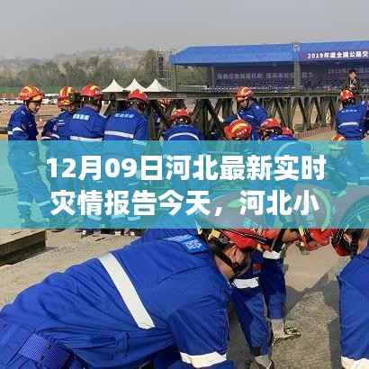 河北特色小店，灾情报告与独特风情之旅揭秘