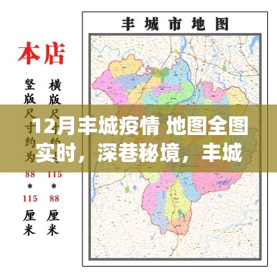 丰城疫情地图实时追踪,小巷特色小店与暖心故事深度报道