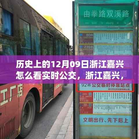 浙江嘉兴智能公交新时代,实时掌握出行,探寻公交实时动态