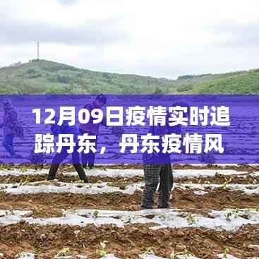 丹东疫情风云,十二月九日实时追踪与深度观察