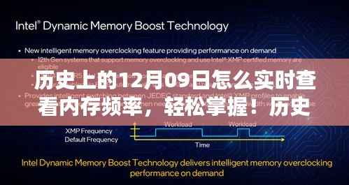 历史上的十二月九日实时查看内存频率指南,初学者与进阶用户必备知识!