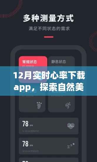 12月实时心率APP下载,探索内心平和之旅