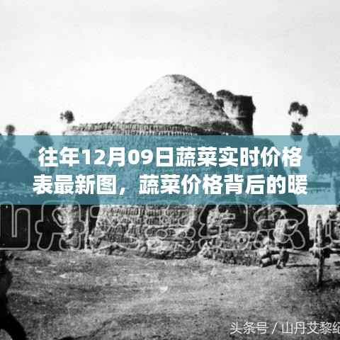 暖心蔬菜情缘,揭秘蔬菜价格背后的故事——最新蔬菜实时价格表及蔬菜情缘纪实(12月9日)