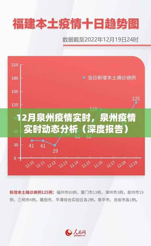 泉州疫情深度报告,实时动态分析与实时数据解读(十二月版)