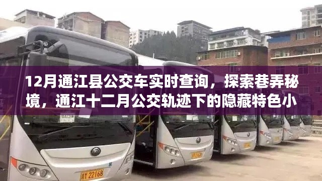 通江十二月公交轨迹探秘，实时查询公交，发现隐藏巷弄中的特色小店