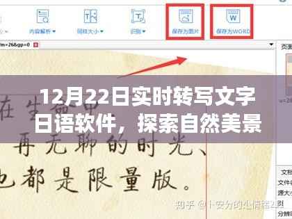 日语实时转写文字软件,冬日暖阳下的自然美景探索之旅