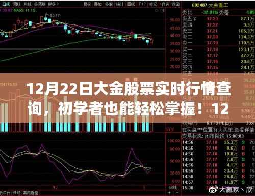 12月22日大金股票实时行情查询全攻略,初学者也能轻松掌握